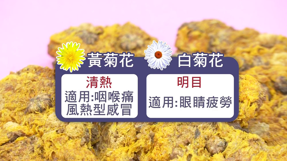 黃菊散熱白菊明目 你喝對了嗎 大愛閱讀 大愛行